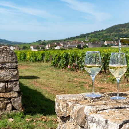 Charmante Maison Climatisee Avec Son Jardin A 10 Minutes De Dijon Marsannay-la-Cote Ngoại thất bức ảnh